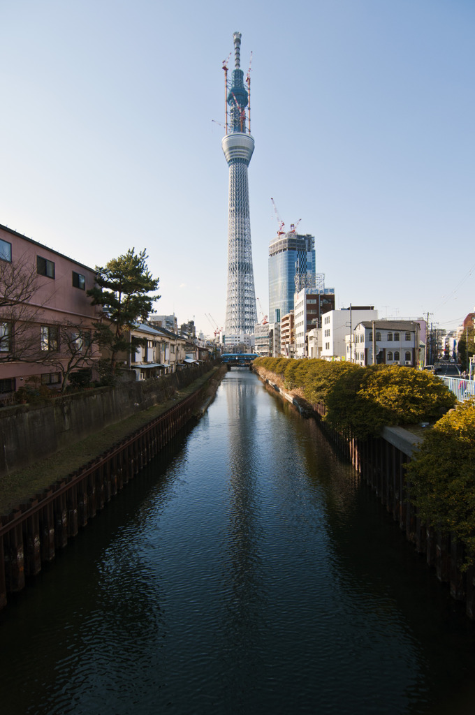 東京スカイツリー良くある風景