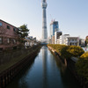 東京スカイツリー良くある風景