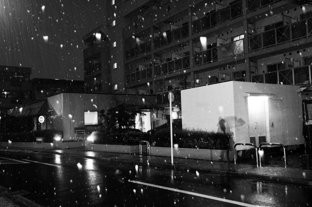 深々と降る雪
