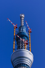 東京スカイツリーテッペン2