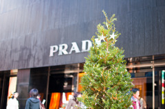 クリスマスツリー
