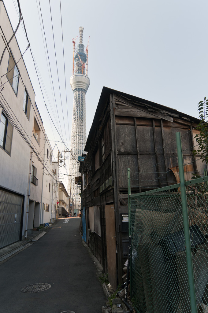 新旧混在