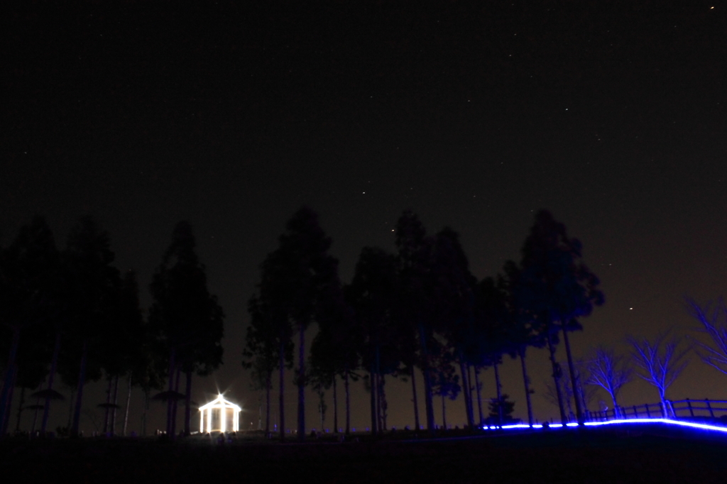 太田公園イルミネーション1