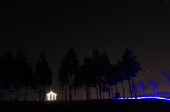 太田公園イルミネーション1