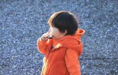 Bumpin Blues Harp!