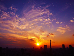 夕暮れの東京