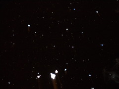 カナダの雪
