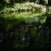 白川水源　in 熊本