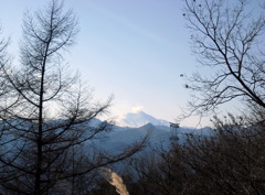 榛名から見た浅間山