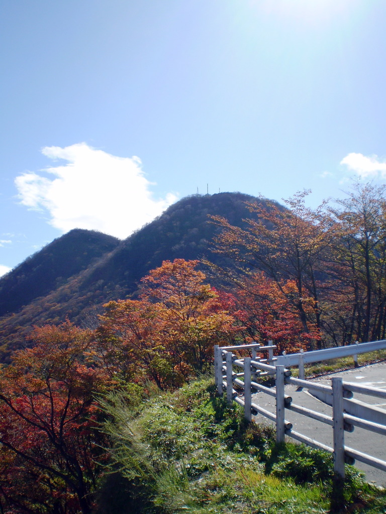 紅葉