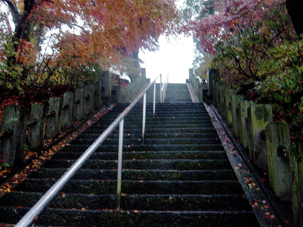 少林山達磨寺の階段