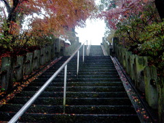 少林山達磨寺の階段