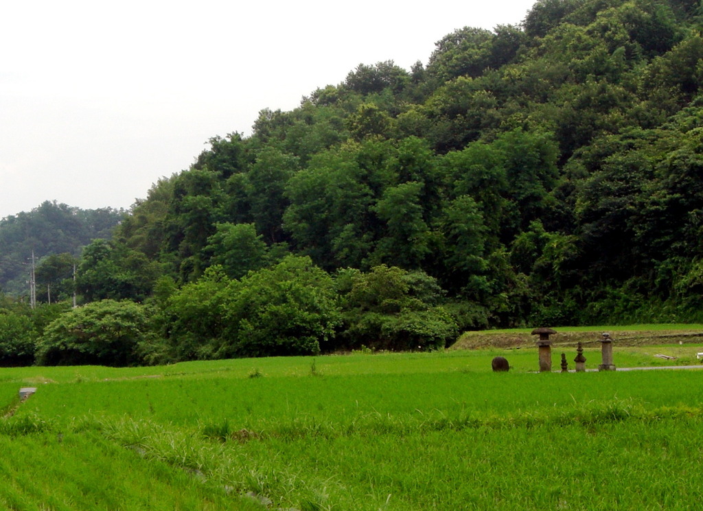 なんか田舎びた風景。