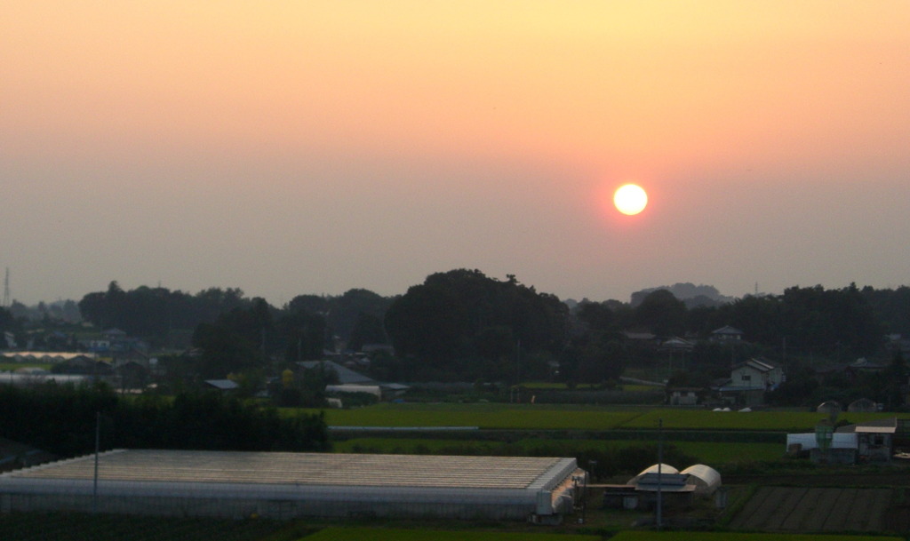 夕日