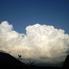 入道雲。