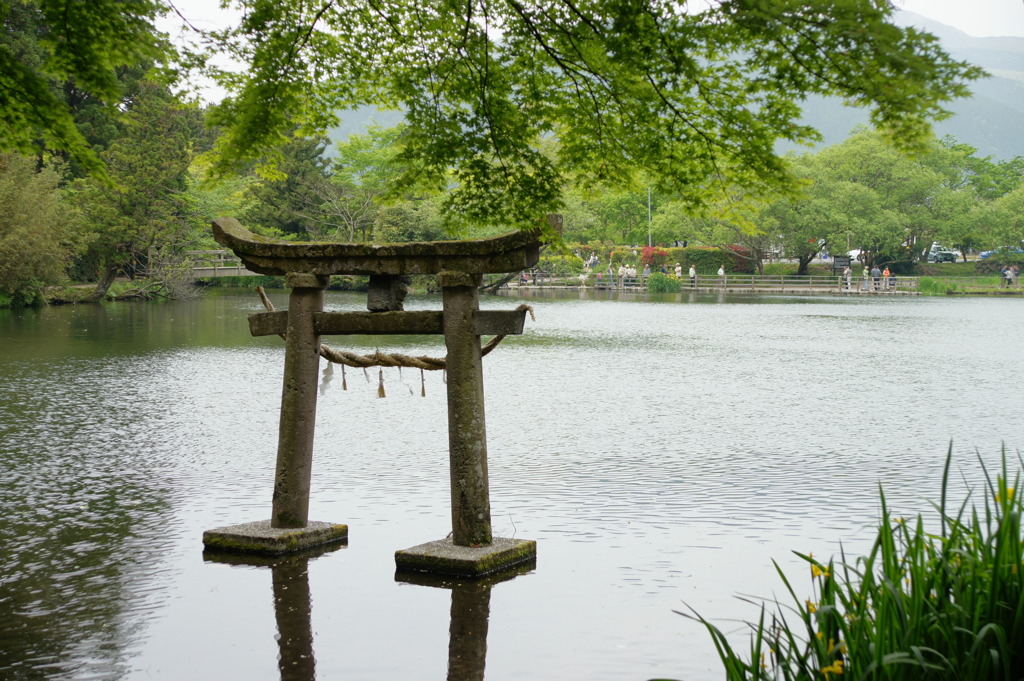 湖上の鳥居