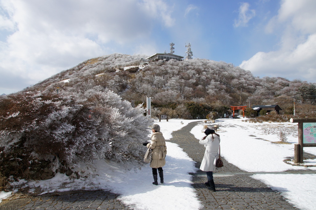 鶴見岳入り口