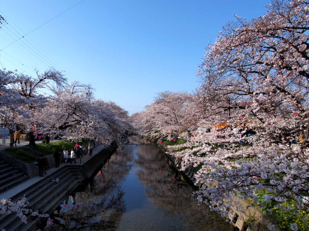 五条川