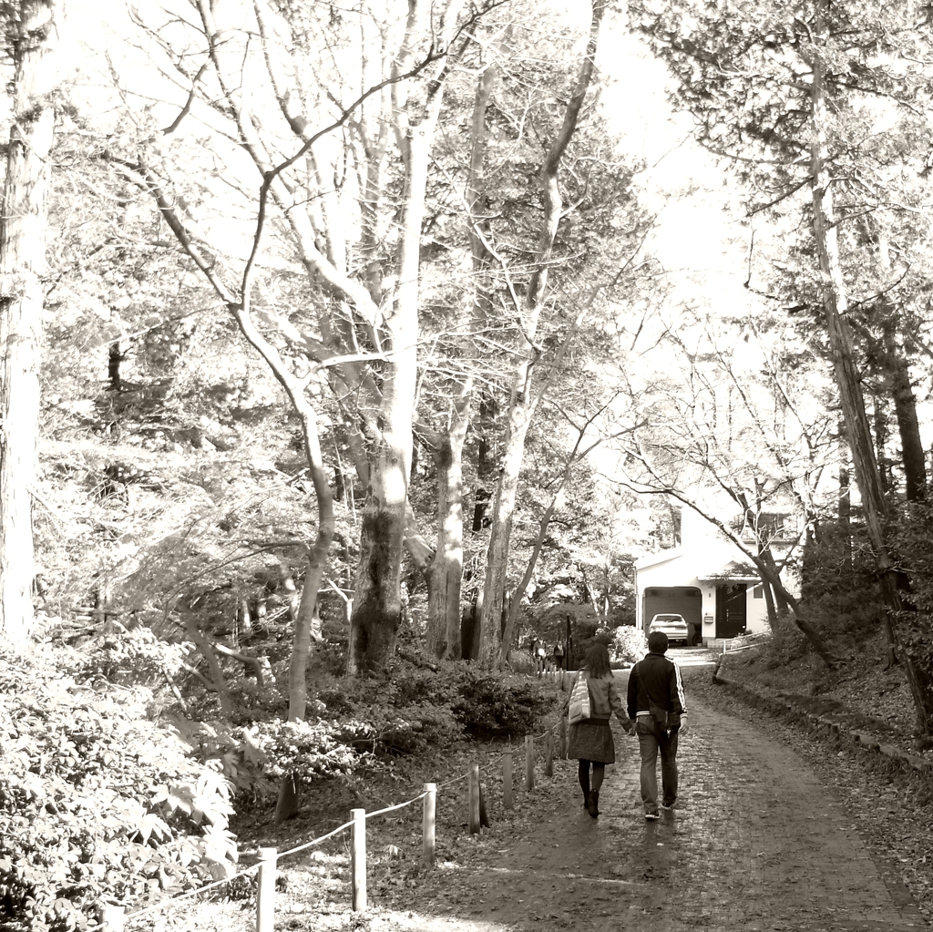 公園デート
