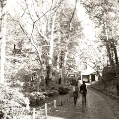 公園デート