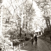 公園デート