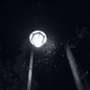 外灯,蜘蛛の巣