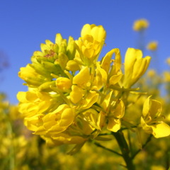 RIMG0584