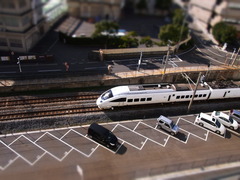 RIMG0208