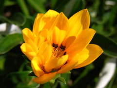RIMG0198