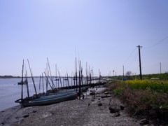 筑後川　にて