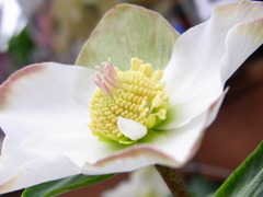 RIMG0069