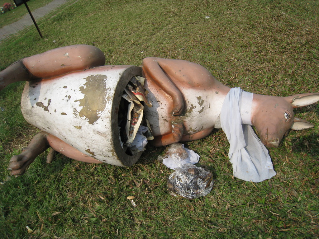 かわいそうなカンガルー