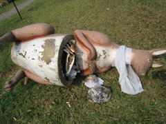 かわいそうなカンガルー