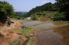 浮羽棚田２
