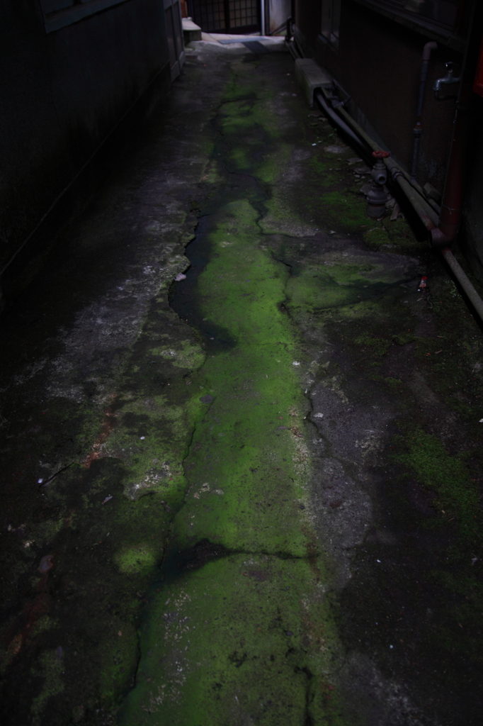 路地裏