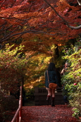 紅葉路を散策