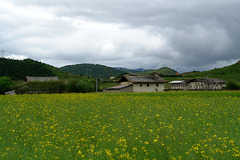 DSC00879