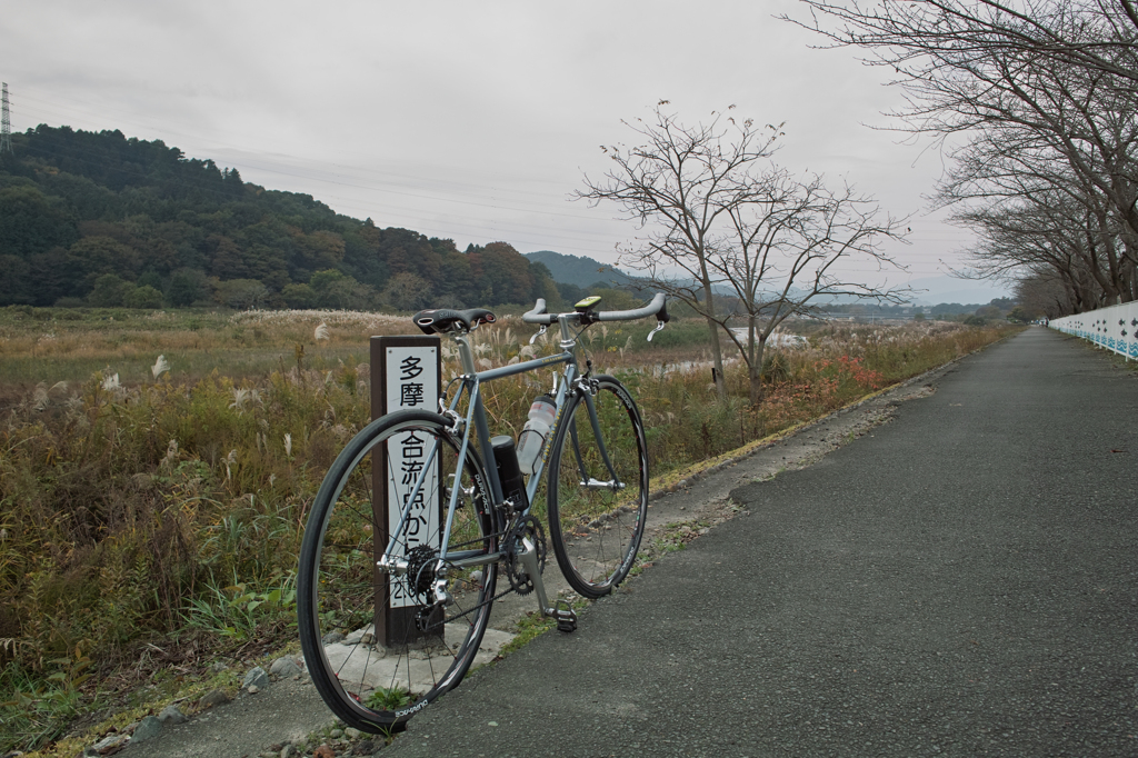 多摩川ポタ