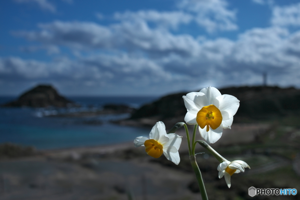 海辺にて