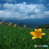 夏山の情景