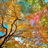 秋色満載