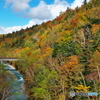 紅葉の美瑛川