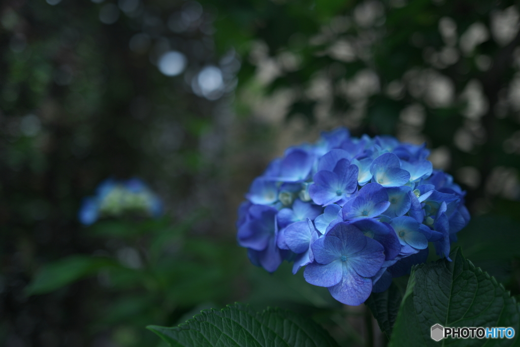 初夏を迎えて