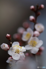 陽気に誘われて...