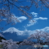 富士を望んで