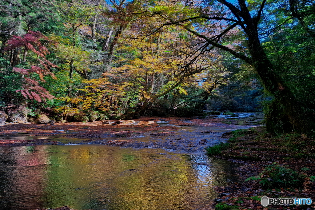 川面に映る紅葉