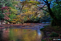 川面に映る紅葉