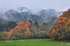 晩秋 雨の情景