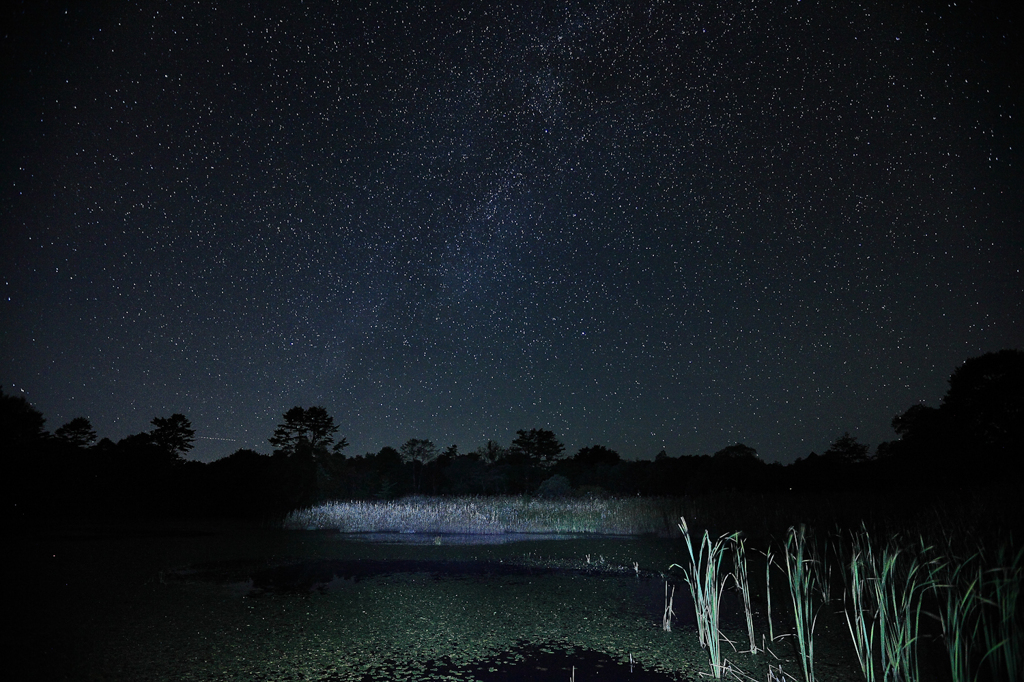 沼で見た星空