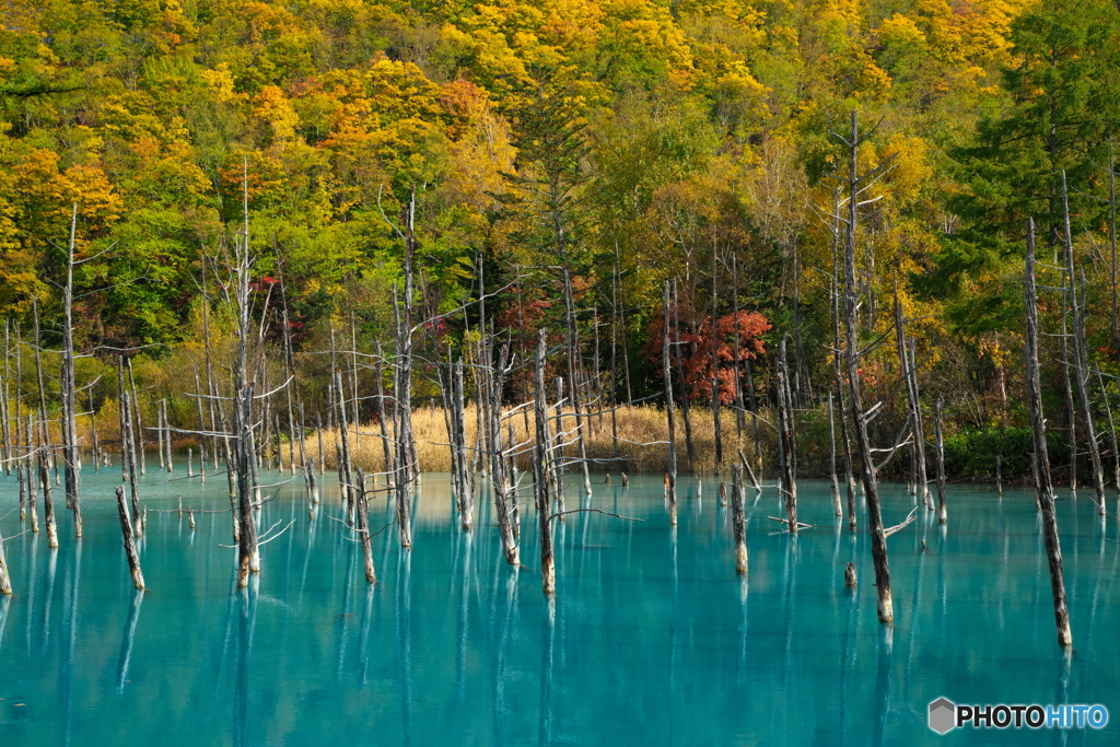 紅葉に映える水の色